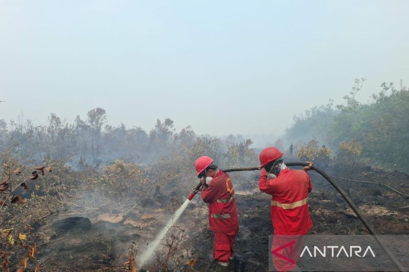 Asap Pekat! Manggala Agni Tangani Karhutla Berhari-hari di Muara Enim