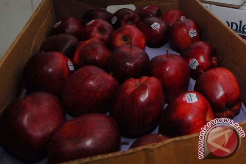 Bukan Obat, Ini 6 Makanan Ampuh Atasi BAB Sulit