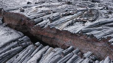 Terungkap 5 Langkah Mitigasi Gempa Megathrust yang Harus Diketahui