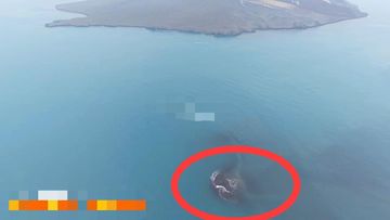 Pakar Geologi Ungkap Dua Pulau Baru di Sekitar Anak Krakatau