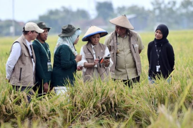 Menkomdigi Meutya Hafid Ungkap Peran IoT Tingkatkan Ketahanan Pangan Desa