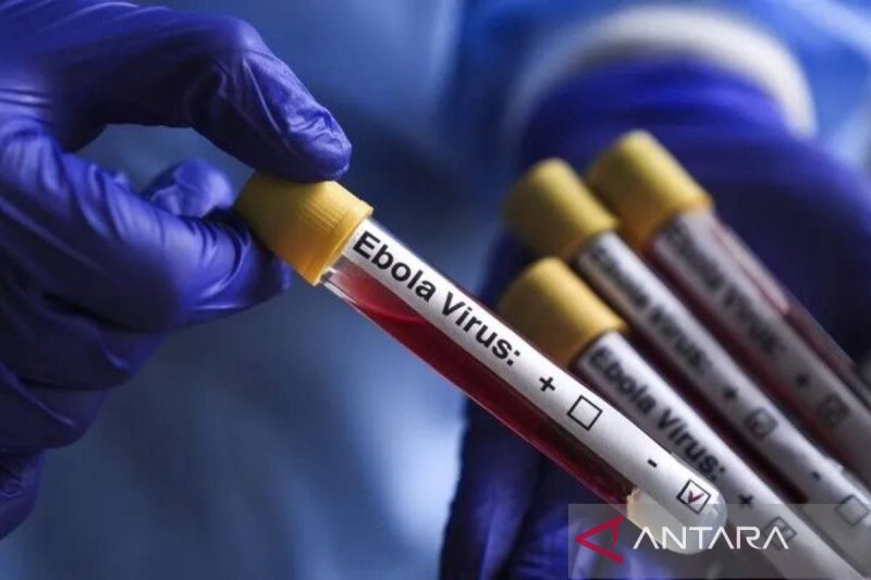 Ebola di Kongo: 4.018 Jiwa Gugur, Ancaman Pandemi Berlanjut